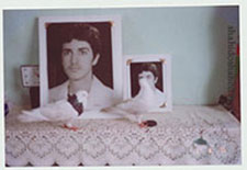 شهید حسن طاهری - ماجرای ورود کبوتر به منزل شهید حسن طاهری و ماندن تا روز چهلم شهید.